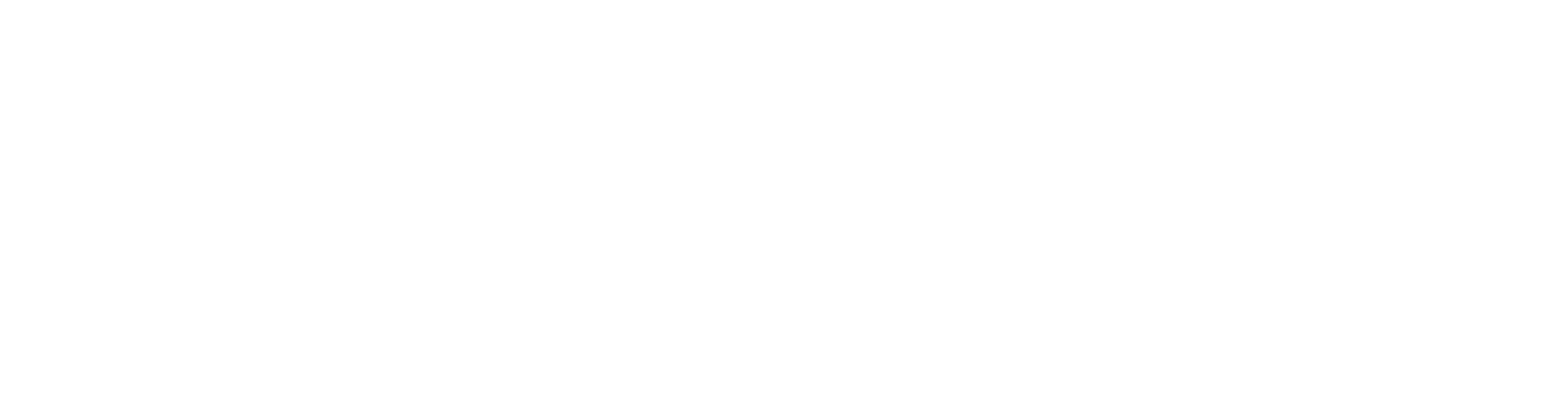 DESCRY Foundation Logo